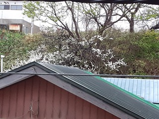 20220427_052757.jpg