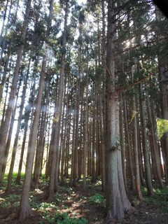 20220510_150824.jpg