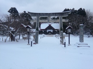 IMG_20201231_134336.jpg