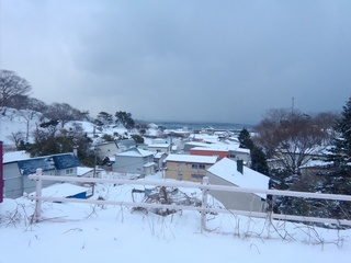 IMG_20201231_134559.jpg