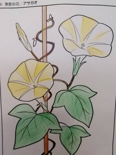 image0.jpeg