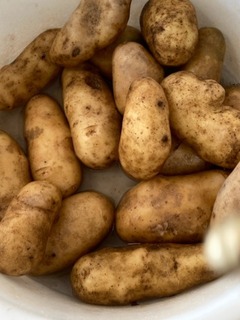 image13.jpeg